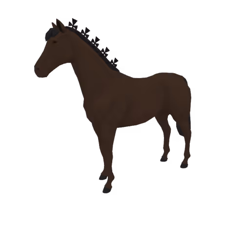 Zkrace Horses