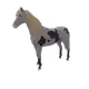 10086