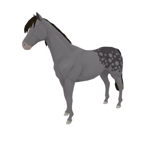 Zkrace Horses
