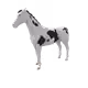 5971