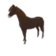 9923