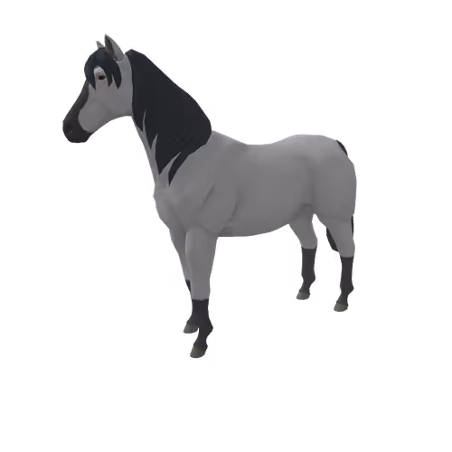 Zkrace Horses