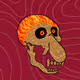 Bekantan Skull #002