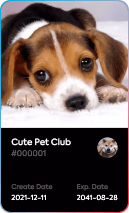 Cute Pet Club