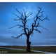Landscape #1/3