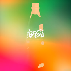 Coca-Cola Friendship Bottle #1676