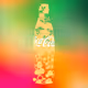 Coca-Cola Friendship Bottle #1384