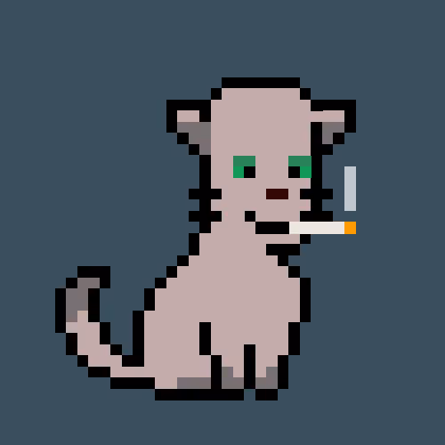 KittyPunks NFT #571