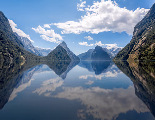 Item #9458961431666 Media