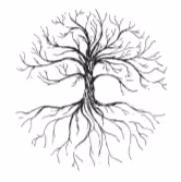 Item #5932630092019 Media