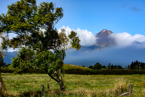 Item #9734913777972 Media