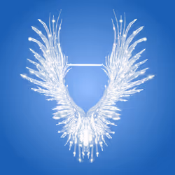 Phygicode Dress Wings