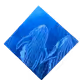 97