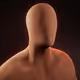 7296