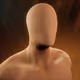6251