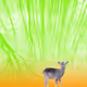 Deer RGB