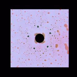 #346