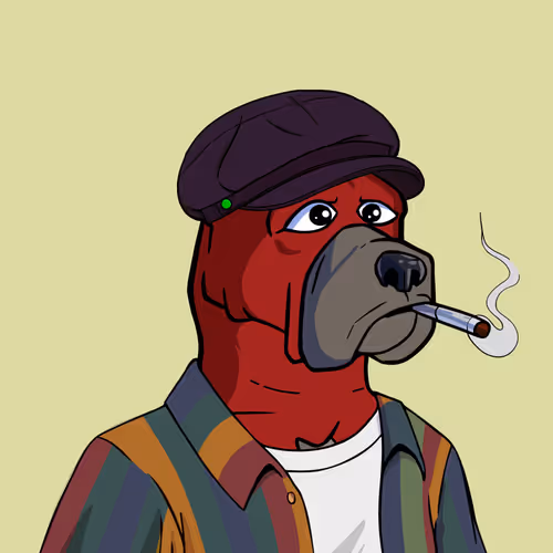  Friendlydogs