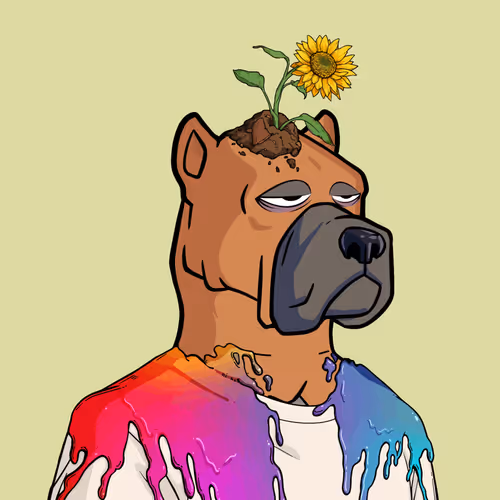  Friendlydogs