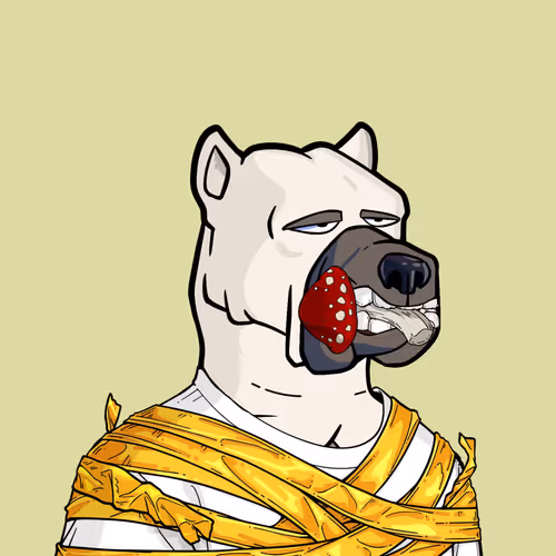  Friendlydogs