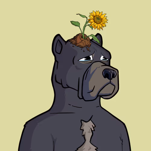  Friendlydogs