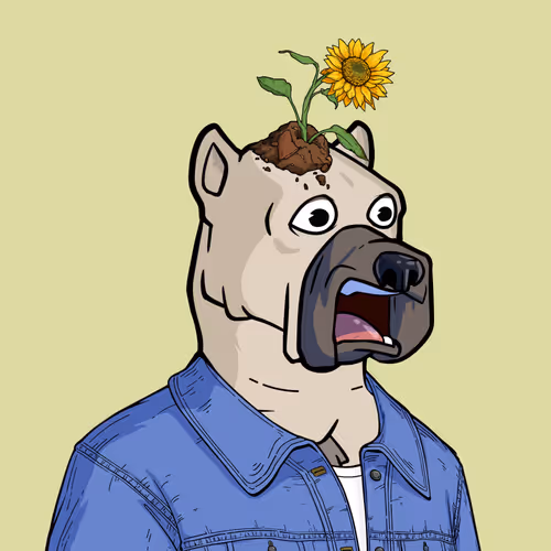  Friendlydogs