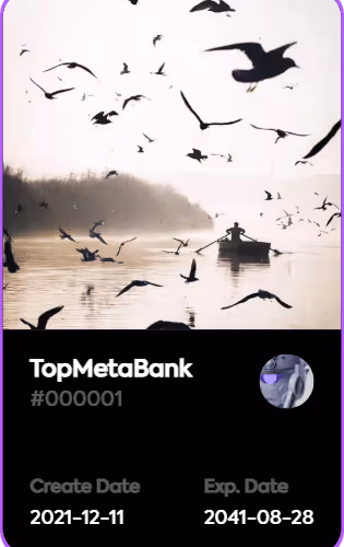 TopMetaBank