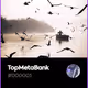TopMetaBank