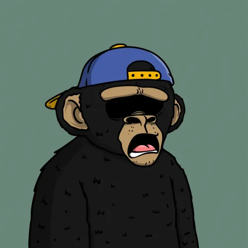 Item #81042675430387432549532683884852742157690982758195683420161947385860638900226 Media