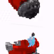 T1 V4