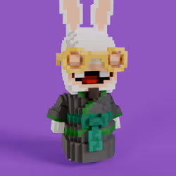Rabbids #0028
