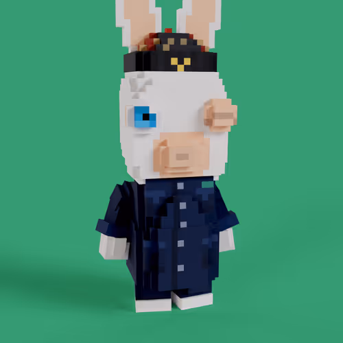 Rabbids #0312