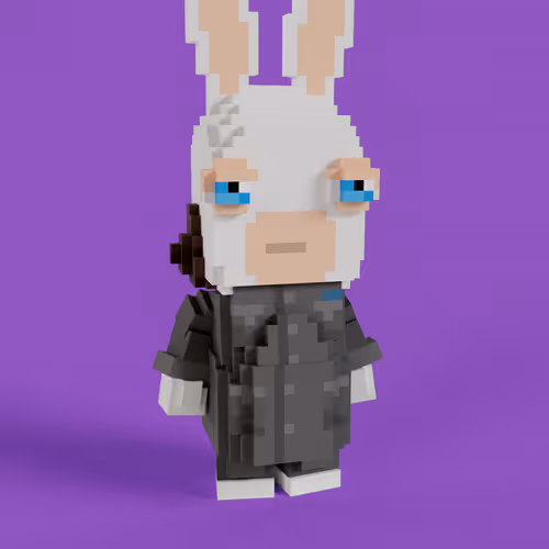 Rabbids #0508