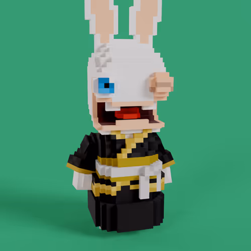 Rabbids #0040