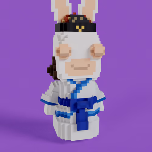 Rabbids #2065