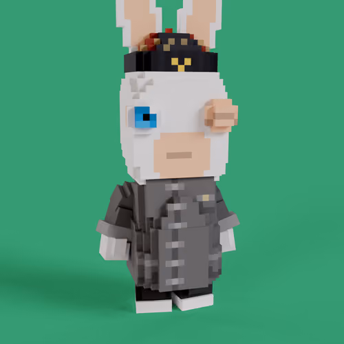 Rabbids #1317