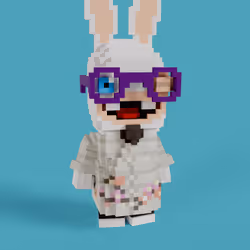 Rabbids #0304