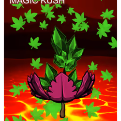 Magic Kush