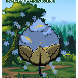 Kandyland Mint