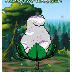Acapulco Bloomer