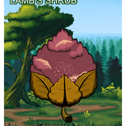 Lamb's Shrub