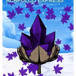 Acapulco Express