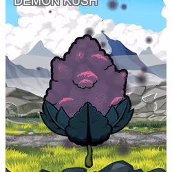 Demon Kush