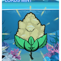 Lords Mint