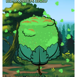 Bloomer Bud