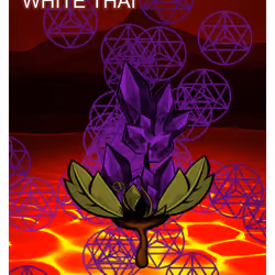 White Thai