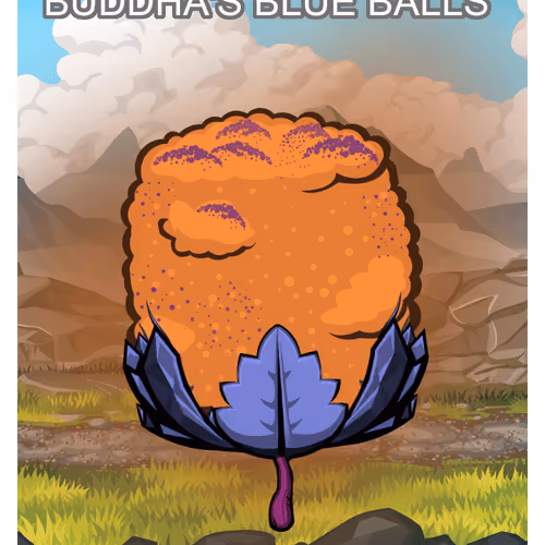 Buddha's Blue Balls