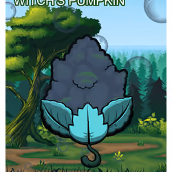Witch's Pumpkin