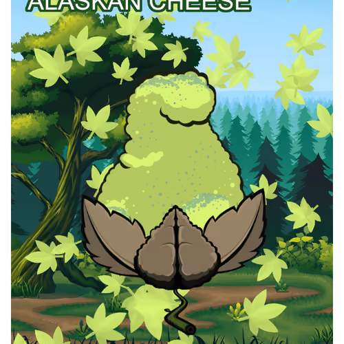 Alaskan Cheese