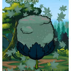 Space Kush